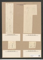 Pleurosigma acuminatum (Kuetz) Grun. (de-Toni-Nr.: Genus 13, Species 1075) Zeichnungen Sammlung Grunow Nr. 1947 (NHMW-BOT-W0369083)